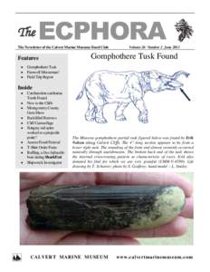 The  ECPHORA The Newsletter of the Calvert Marine Museum Fossil Club