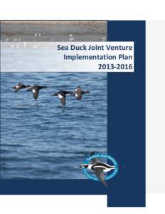 Sea Duck Joint Venture Implementation Plan[removed] Suggested Citation: Sea Duck Joint Venture[removed]Sea Duck Joint Venture Implementation Plan for April 2013