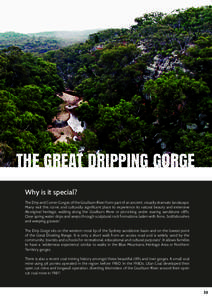 THE GREAT DRIPPING GORGE Why is it special? The Drip and Corner Gorges of the Goulburn River form part of an ancient, visually dramatic landscape. Many visit this iconic and culturally significant place to experience its