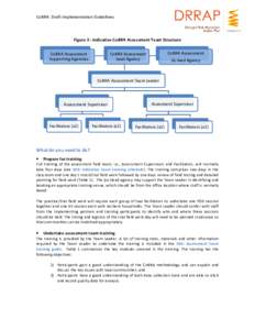 CoBRA: Draft Implementation Guidelines  Figure 3 : Indicative CoBRA Assessment Team Structure CoBRA Assessment Supporting Agencies