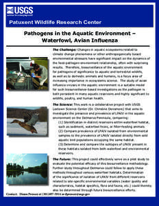 Patuxent Wildlife Research Center Pathogens in the Aquatic Environment – Waterfowl, Avian Influenza The Challenge: Changes in aquatic ecosystems related to climate change phenomena or other anthropogenically based envi