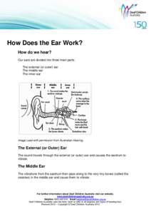 How Does the Ear Work? How do we hear? Our ears are divided into three main parts: The external (or outer) ear The middle ear The inner ear