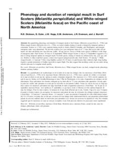 Phenology and duration of remigial moult in Surf Scoters (Melanitta perspicillata) and White-winged Scoters (Melanitta fusca) on the Pacific coast of North America
