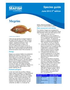 Microsoft Word - Species Guide - Megrim 2012