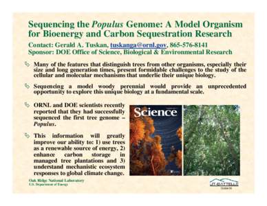 Sequencing the Populus Genome: A Model Organism for Bioenergy and Carbon Sequestration Research Contact: Gerald A. Tuskan, [removed], [removed]Sponsor: DOE Office of Science, Biological & Environmental Resear