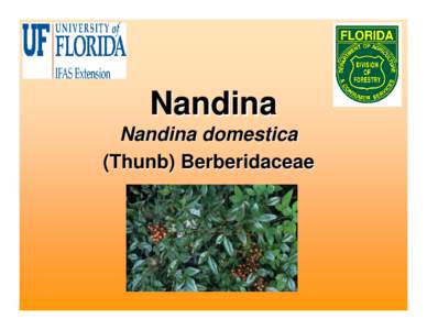 Botany / Domestica / Bamboo / Berberidaceae / Plant taxonomy / Nandina / Taxonomy