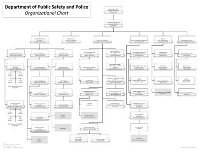 Department of Public Safety and Police Organizational Chart Vice President and Chief Legal Affairs Officer Andrew Newton