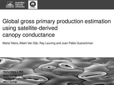 Global gross primary production estimation using satellite-derived canopy conductance Marta Yebra, Albert Van Dijk, Ray Leuning and Juan Pablo Guerschman  Marta Yebra | PhD