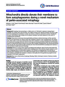 An upper limit for macromolecular crowding effects