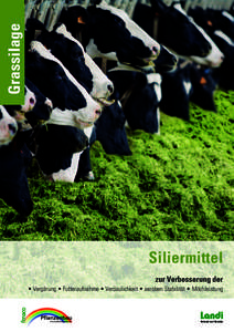 Grassilage  Siliermittel zur Verbesserung der • Vergärung • Futteraufnahme • Verdaulichkeit • aeroben Stabilität • Milchleistung