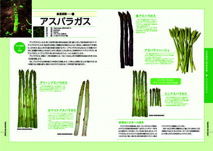 10 葉茎菜類……● アスパラガス Asparagus officinalis L. asparagus