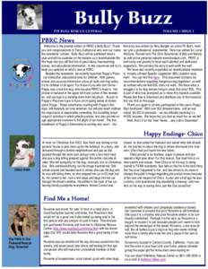 Bully Buzz  PIT BULL RESCUE CENTRAL VOLUME 1 ISSUE 1