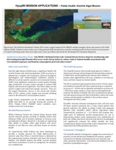 Bacteria / Algae / Aquatic ecology / Imaging / Biological oceanography / Algal bloom / Hyperspectral imaging / Cyanobacteria / Microcystin / Water / Electromagnetic radiation / Fisheries