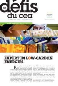 Expert in low-carbon energies