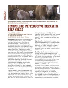 Research “Evaluating the effect of transport time and sample pooling on a real time PCR assay for Bovine Genital Campylobacteriosis” Controlling Reproductive Disease in Beef Herds