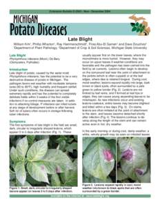Phytophthora infestans / Alternaria solani / Blight / Fungicide / Potato / Tuber / Plant pathology / Fungicide use in the United States / Corn grey leaf spot / Biology / Mycology / Microbiology
