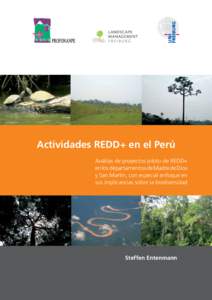 Actividades REDD+ en el Perú Análisis de proyectos piloto de REDD+ en los departamentos de Madre de Dios y San Martín, con especial enfoque en sus implicancias sobre la biodiversidad