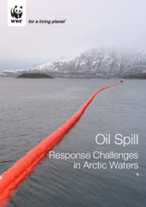 Oil Spill Response Challenges