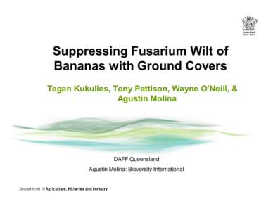 Suppressing Fusarium Wilt of Bananas with Ground Covers Tegan Kukulies, Tony Pattison, Wayne O’Neill, & Agustin Molina  DAFF Queensland