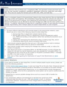 For Your Information  Distribution of Large E-mail Attachments Best Practices Definition Large electronic files are those over 1 megabytes (MB), and generally include document types