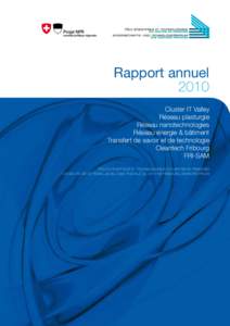 Rapport annuel 2010 Cluster IT Valley Réseau plasturgie Réseau nanotechnologies Réseau énergie & bâtiment