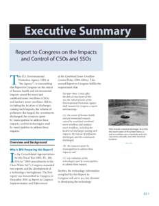 2004 EPA CSO SSO REPORT TO CONGRESS: Executive Summary
