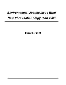 Environmental Justice Issue Brief  New York State Energy Plan 2009 December 2009