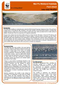 Mai Po Wetland Habitats Fact sheet Inter-tidal Mudflat The Deep Bay inter-tidal mudflat © WWF-HK