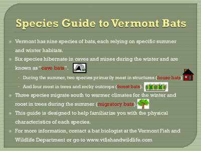 Where Have All the Bats Gone? Current Research on the Deadly White-Nose Syndrome