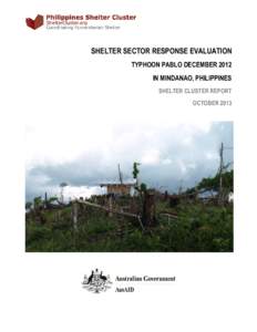 Microsoft Word29_Shelter Response Evaluation_Philippines_Pablo 2012_FINAL_PRead