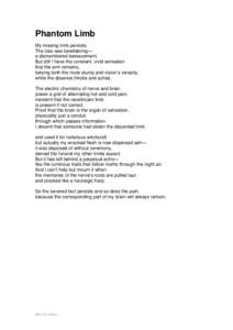 Phantom Limb My missing limb persists. The loss was bewildering— a dismembered bereavement. But still I have the constant, vivid sensation that the arm remains,