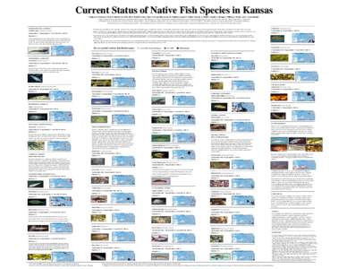 Current Status of Native Fish Species in Kansas Stephen G. Haslouer1, Mark E. Eberle2, David R. Edds3, Keith B. Gido4, Chris S. Mammoliti5, James R. Triplett6, Joseph T. Collins7, Donald A. Distler8, Donald G. Huggins7, 