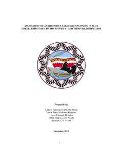 ASSESSMENT OF ANADROMOUS SALMONID SPAWNING IN BLUE CREEK, TRIBUTARY TO THE LOWER KLAMATH RIVER, DURING 2010 Prepared by: Andrew Antonetti and Erika Partee Yurok Tribal Fisheries Program