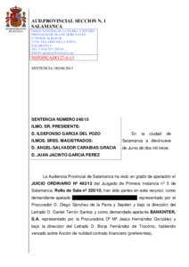 AUD.PROVINCIAL SECCION N. 1 SALAMANCA DIEGO SÁNCHEZ DE LA PARRA Y SEPTIÉN PROCURADOR DE LOS TRIBUNALES C/ NORTE 46 BAJO BVILLARES DE LA REINA