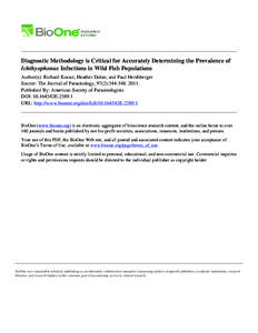 Diagnostic Methodology is Critical for Accurately Determining the Prevalence of Ichthyophonus Infections in Wild Fish Populations Author(s): Richard Kocan, Heather Dolan, and Paul Hershberger Source: The Journal of Paras