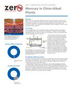 INC 2 Briefing Paper Series  Mercury in Chlor-Alkali