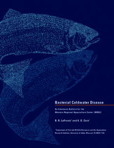 Bacterial Coldwater Disease An Extension Bulletin for the Western Regional Aquaculture Center (WRAC) B. R. LaFrentz 1 and K. D. Cain 1