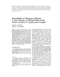 RHODIN, ANDERS G.J. and MITTERMEIER, RUSSELL A[removed]Description of Phrynops williamsi, a new species of chelid turtle of the South American P. geoffroanus complex. In: RHODIN, ANDERS G.J. and MIYATA, KENNETH. (Editors)