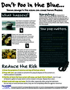 Don’t Poo in the Blue... Human sewage in the ocean can cause human illnesses. What happens? Boat Heads are emptied in waterways or people poop directly in the water.