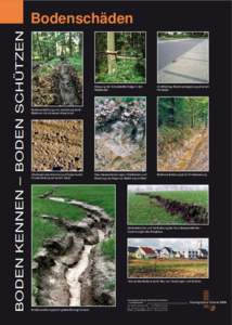 Geologischer Dienst NRW, Krefeld, Plakatserie Böden, Böden im Sauerland, Dworschak, Amend, Screen-Version