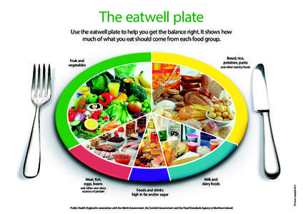 The eatwell plate A3 poster