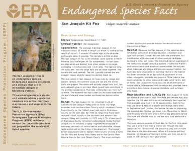 US EPA - Endangered Species Facts San Joaquin Kit Fox