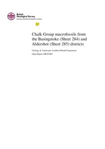 Chalk Group macrofossils from the Basingstoke (Sheet 284) and Aldershot (Sheet 285) districts Geology & Landscape, Southern Britain Programme Open Report OR