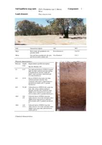 back Soil landform map unit: FLP1; Floodplain, type 1, Murray River