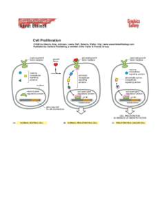 Cell Proliferation ©1998 by Alberts, Bray, Johnson, Lewis, Raff, Roberts, Walter . http://www.essentialcellbiology.com Published by Garland Publishing, a member of the Taylor & Francis Group.  inactive growth