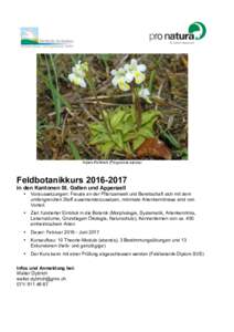 Alpen-Fettblatt (Pinguicula alpina)  Feldbotanikkursin den Kantonen St. Gallen und Appenzell •