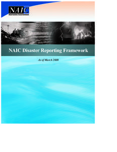 NAIC Disaster Reporting Framework