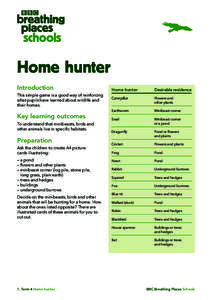 BBC Breathing Places Schools Home Hunter Activity sheet