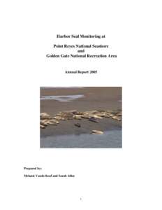 Harbor Seal Annual Report 2005