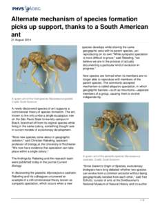 Alternate mechanism of species formation picks up support, thanks to a South American ant